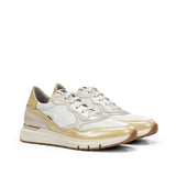 D9048NCSEC NACAR.LIMON C-1 LIMON C-1-1