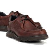 9595 GRASS LIBANO+COM.2-10