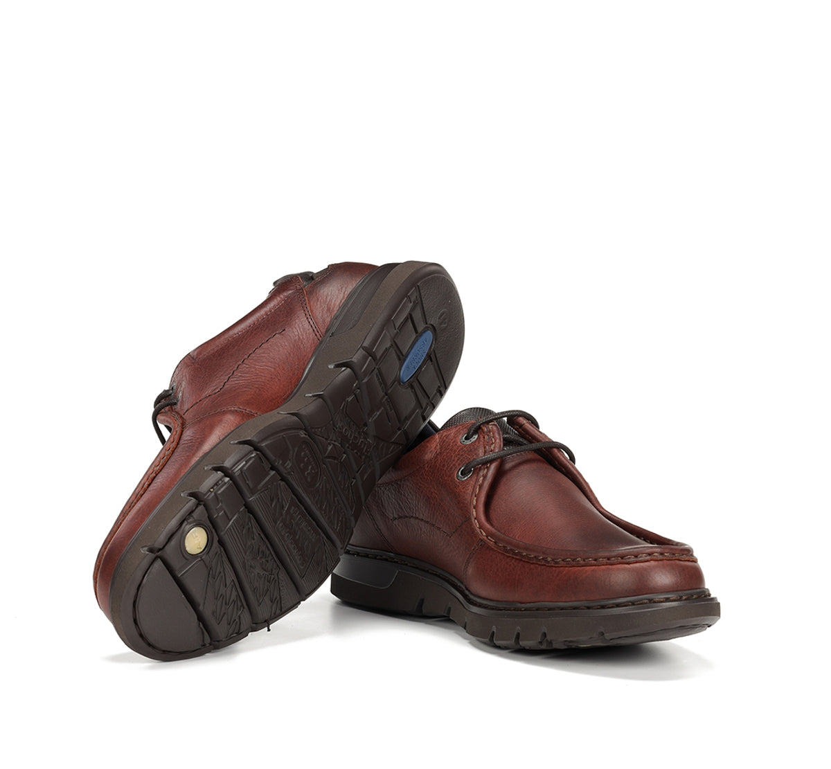 9595 GRASS LIBANO+COM.2-7