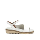 D8771-TX TEXAS BLANCO-0