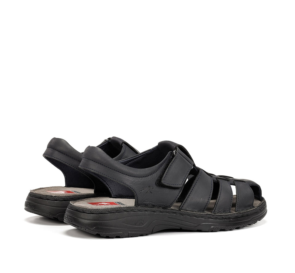 F2198 GAUCHO MARINO-2