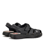 F2198 GAUCHO MARINO-2