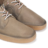 F1947 VEGABUCK MARMOTA+COM.4-5