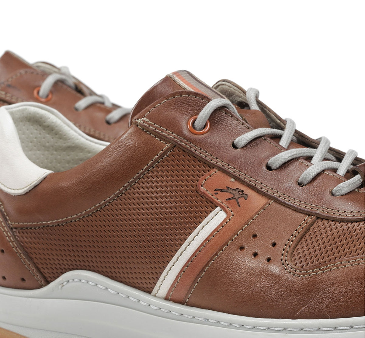 F1162 HABANA CUERO+COM.1-5