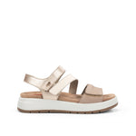 F2165 DUMAS TAUPE+COM.3-0