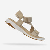 AT182 ENERGY FRESH SAND-7