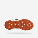 AT187 INFINITY LIGHT ROSE-13