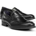 F1933 HABANA NEGRO+COM.2-6