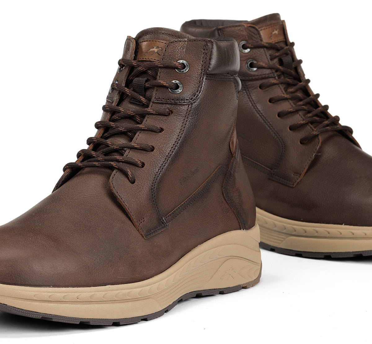 F2292 VEGABUCK CAFE+COM.1-6