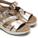 F1478 LAMINADO CAVA-5