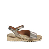 D8771-CS COSMOS IRON-0