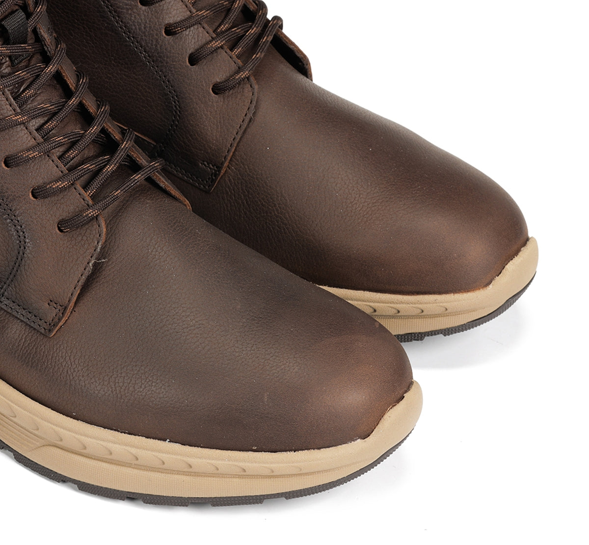 F2292 VEGABUCK CAFE+COM.1-3