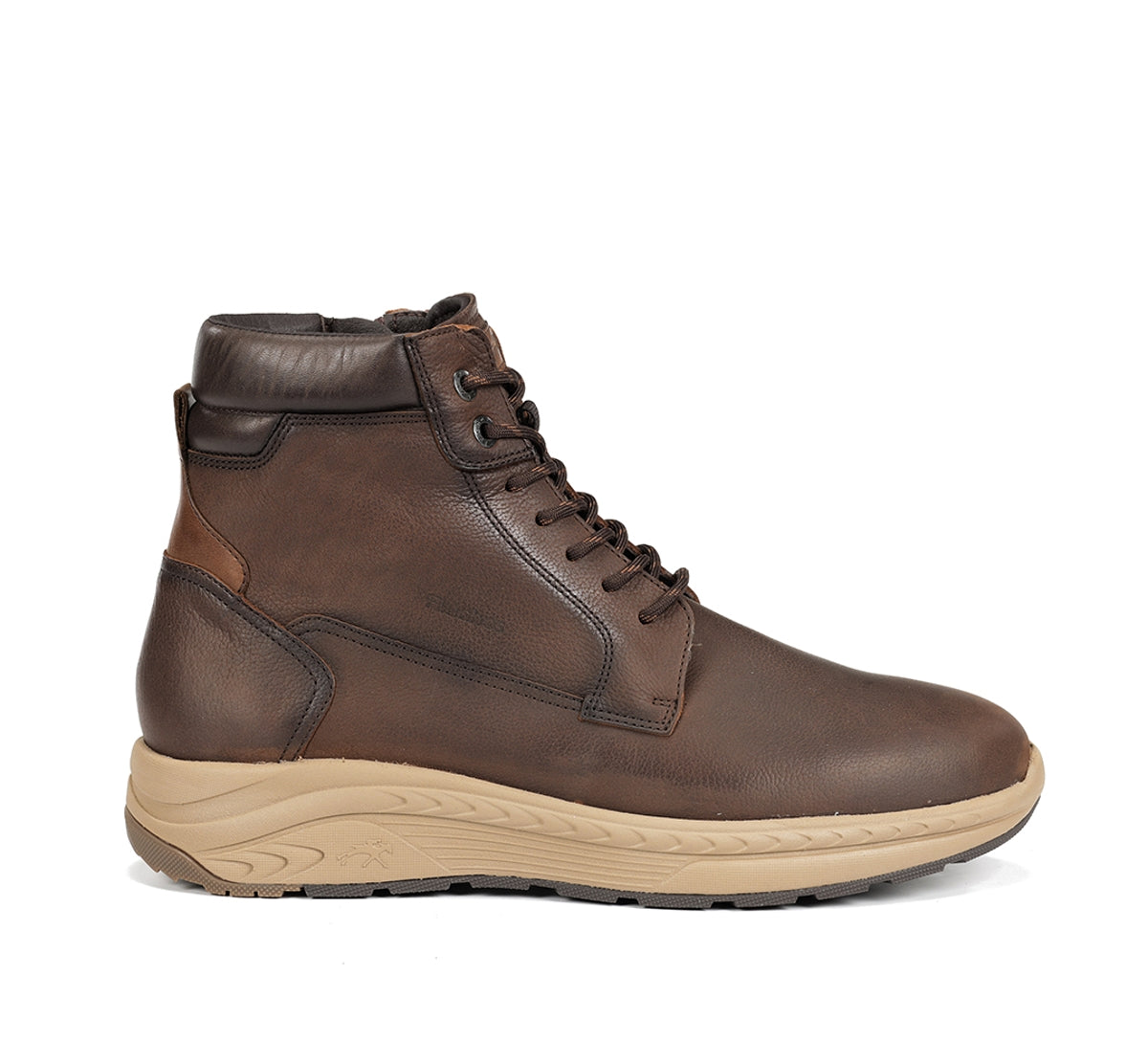 F2292 VEGABUCK CAFE+COM.1-0