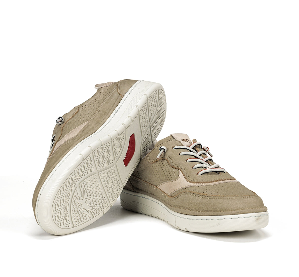 F1943 VEGABUCK TORTORA+COM.5-3