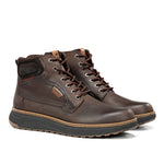 F2537 VEGABUCK CAFE+COM.1-1