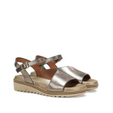 D8771-CS COSMOS IRON-1